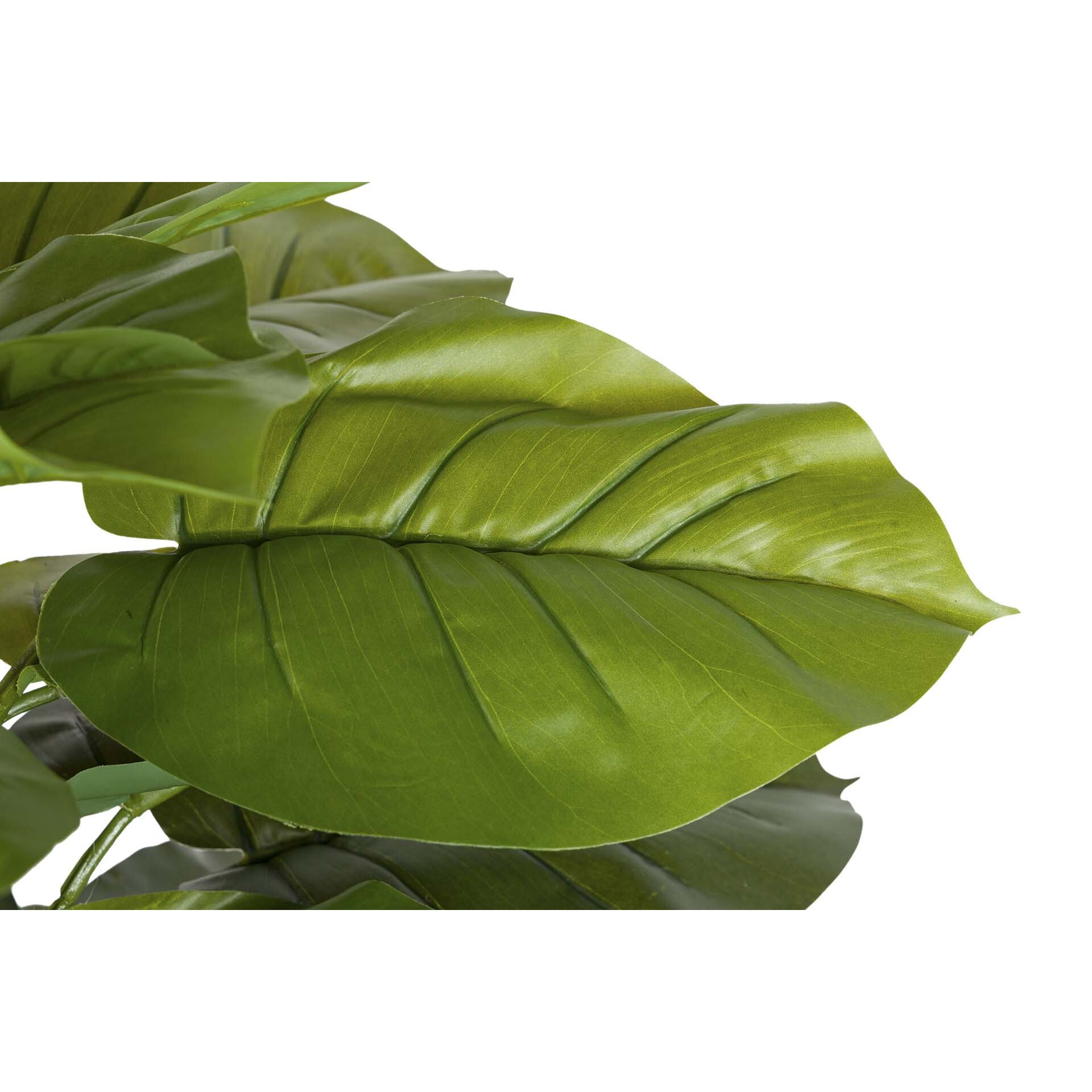 Planta Artificial Rhadhidophora Aureum 65x65x140 Cm