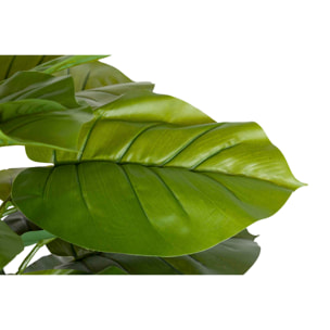 Planta Artificial Rhadhidophora Aureum 65x65x140 Cm