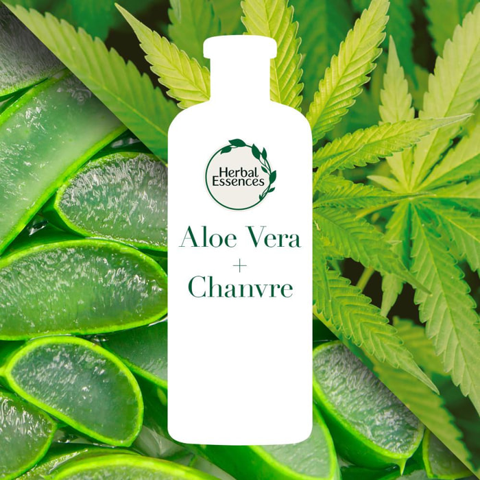 6 Shampoings Aloe & Chanvre 225ml, Herbal Essences
