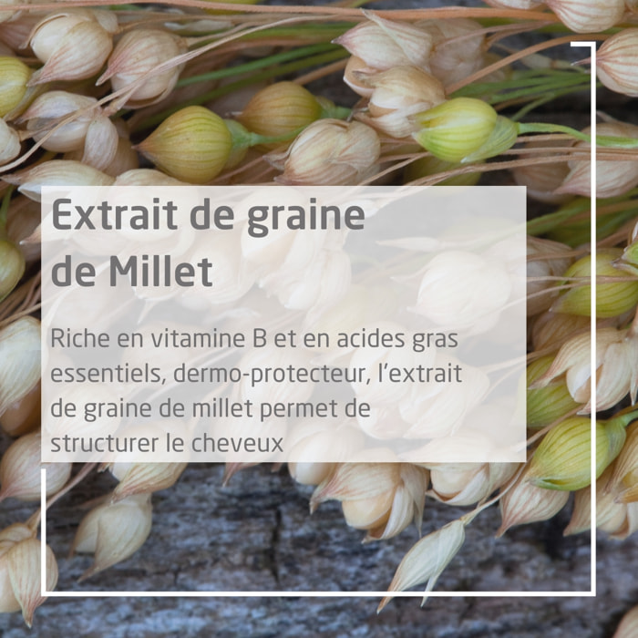 WELEDA - Duo Shampooing Extra-Doux Millet - Nettoie en douceur - Vegan* - Certifié Natrue** - Flacon 190 ml x 2