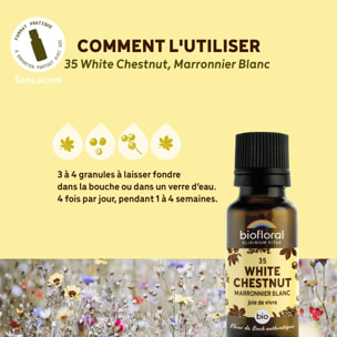 Biofloral - 35 White Chestnut, Marronnier Blanc - Bio - 19,5 gr