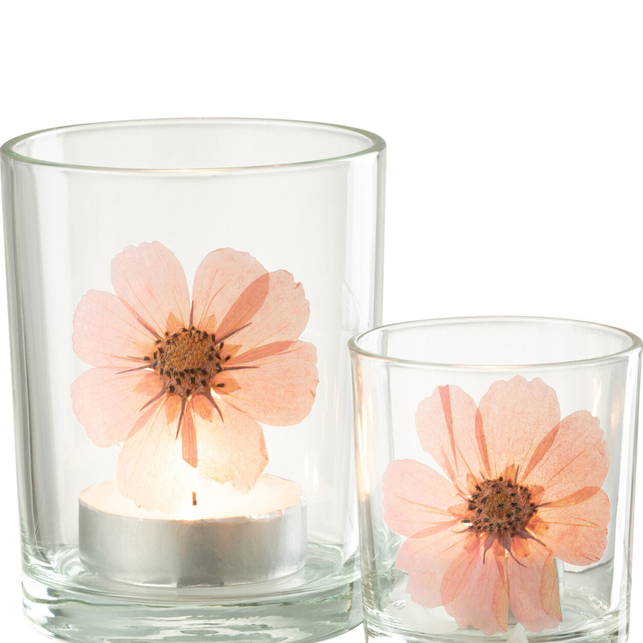J-Line photophore Fleur - verre - rose/mix