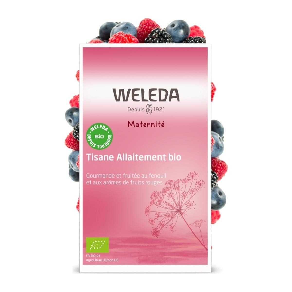 WELEDA - Tisane allaitement Fruits rouges - 20x2 g
