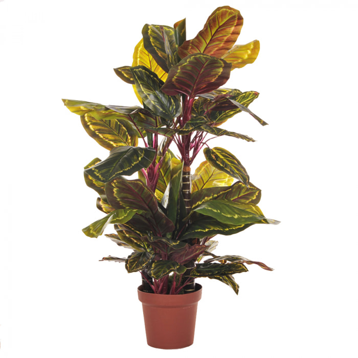 Calathea Con Vaso, 72 Foglie. Altezza 100 Cm - Pezzi 1 - 70X100X70cm - Colore: Verde - Bianchi Dino - Piante Artificiali