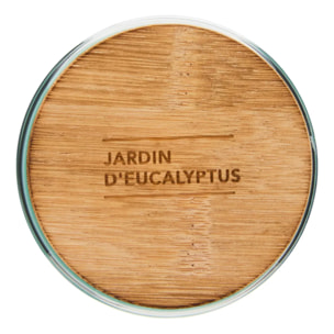 Bougie parfumée 435 g Viky jardin d'eucalyptus