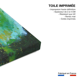 Tableau bleuets des champs Toile imprimée