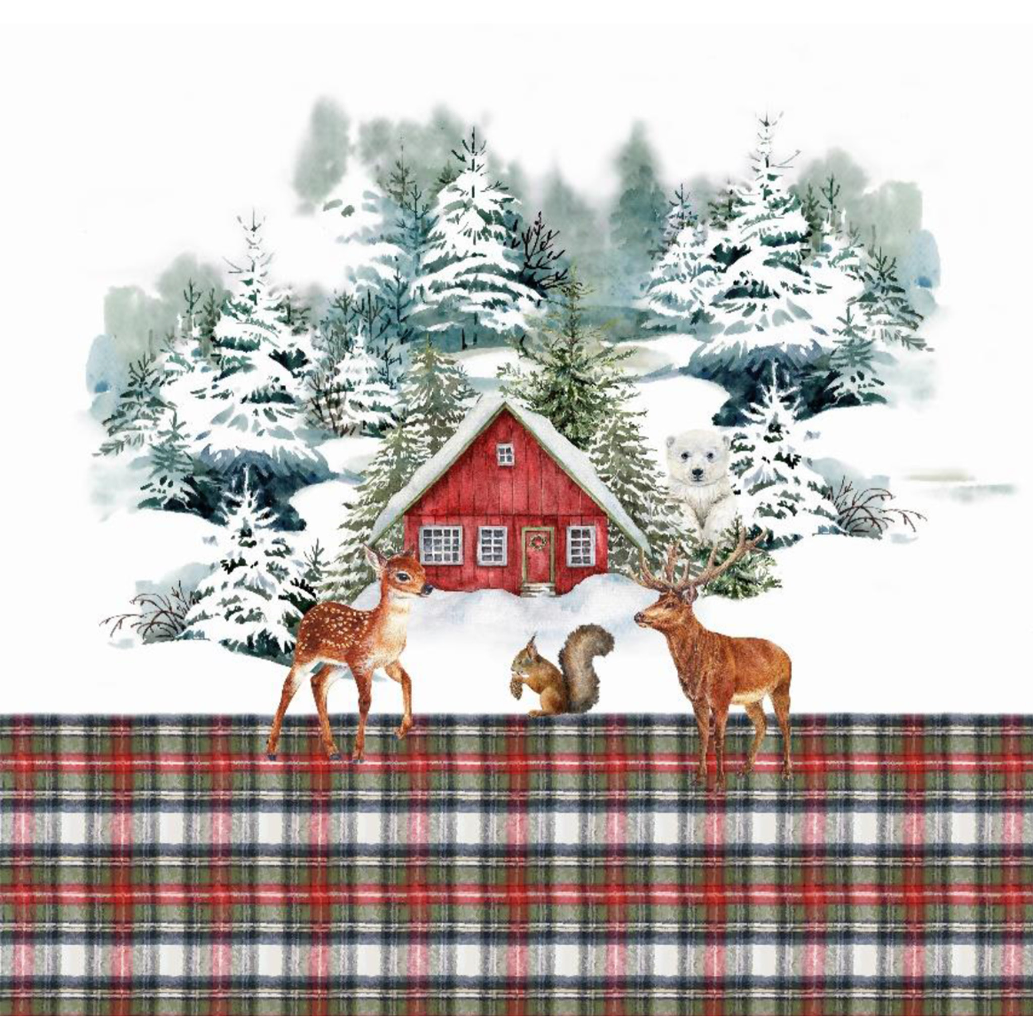 Parure copripiumino matrimoniale stampa in digitale inverno