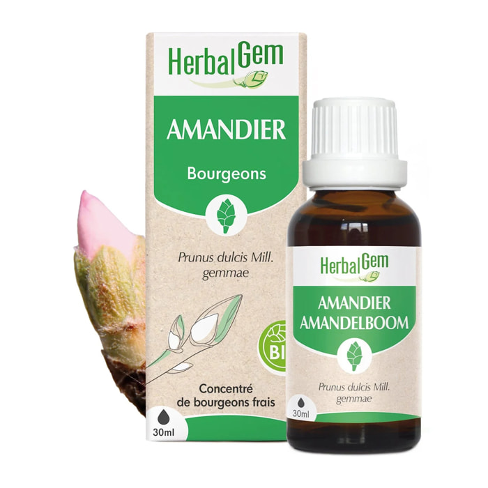 Herbalgem- Bourgeon d'Amandier - Bio - 30 ml