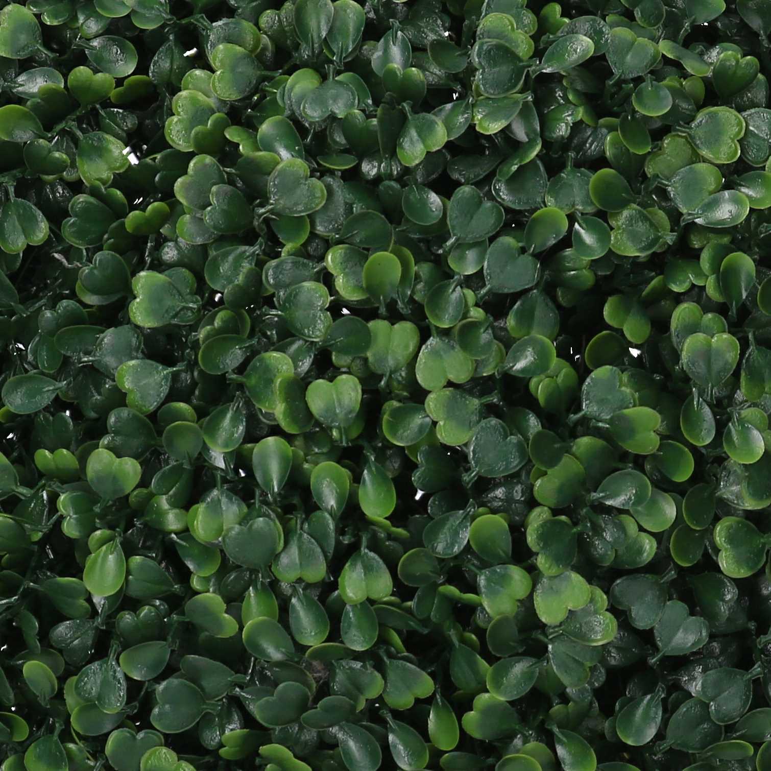 Bosso Vacchetti verde tondo cm ø33h33