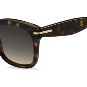 GAFAS DE SOL HUGO BOSS 1731/S 086