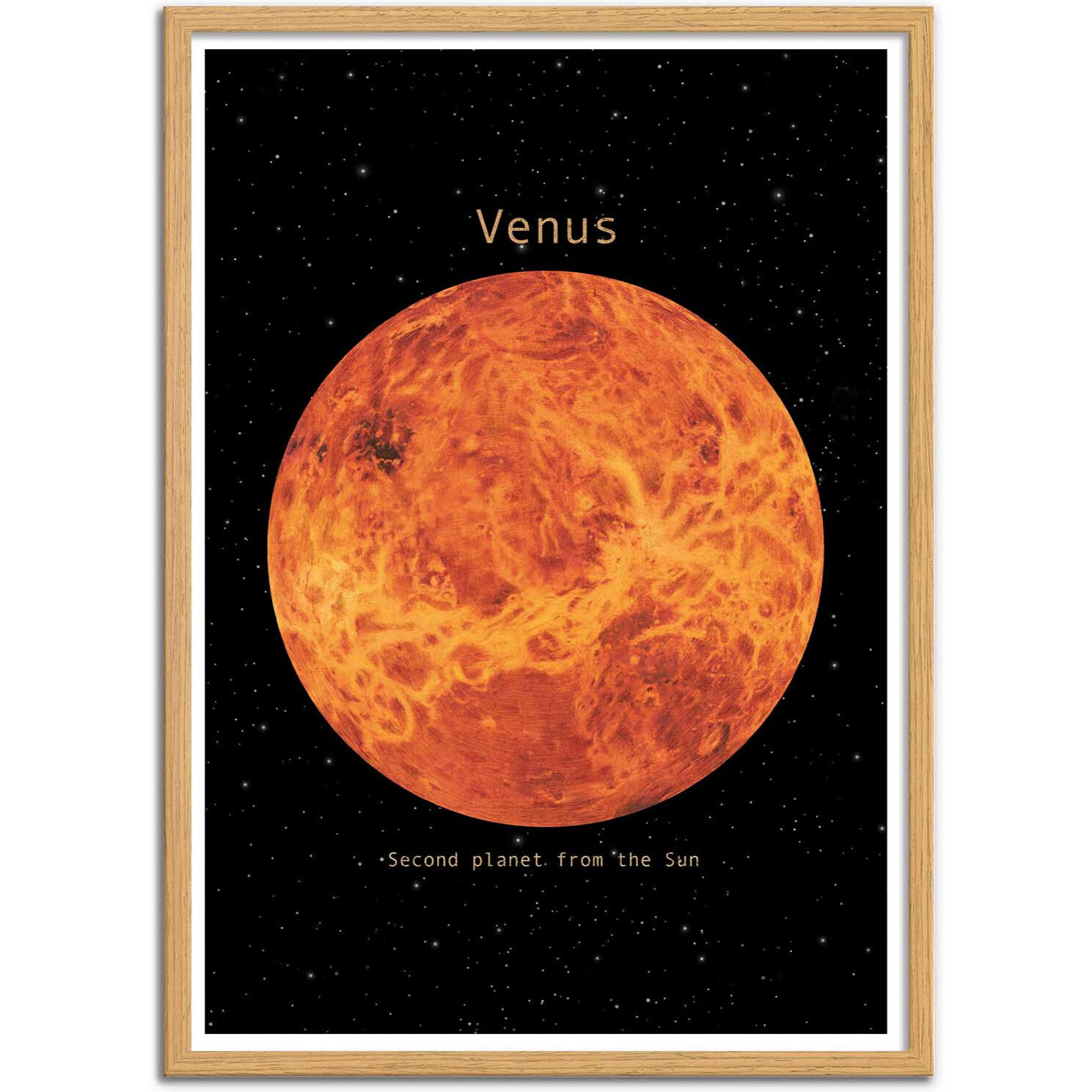Affiche - Venus - Terry Fan