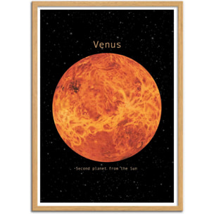 Affiche - Venus - Terry Fan