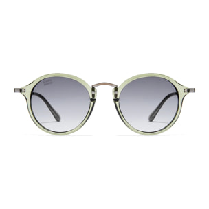 Gafas De Sol D. Franklin Roller