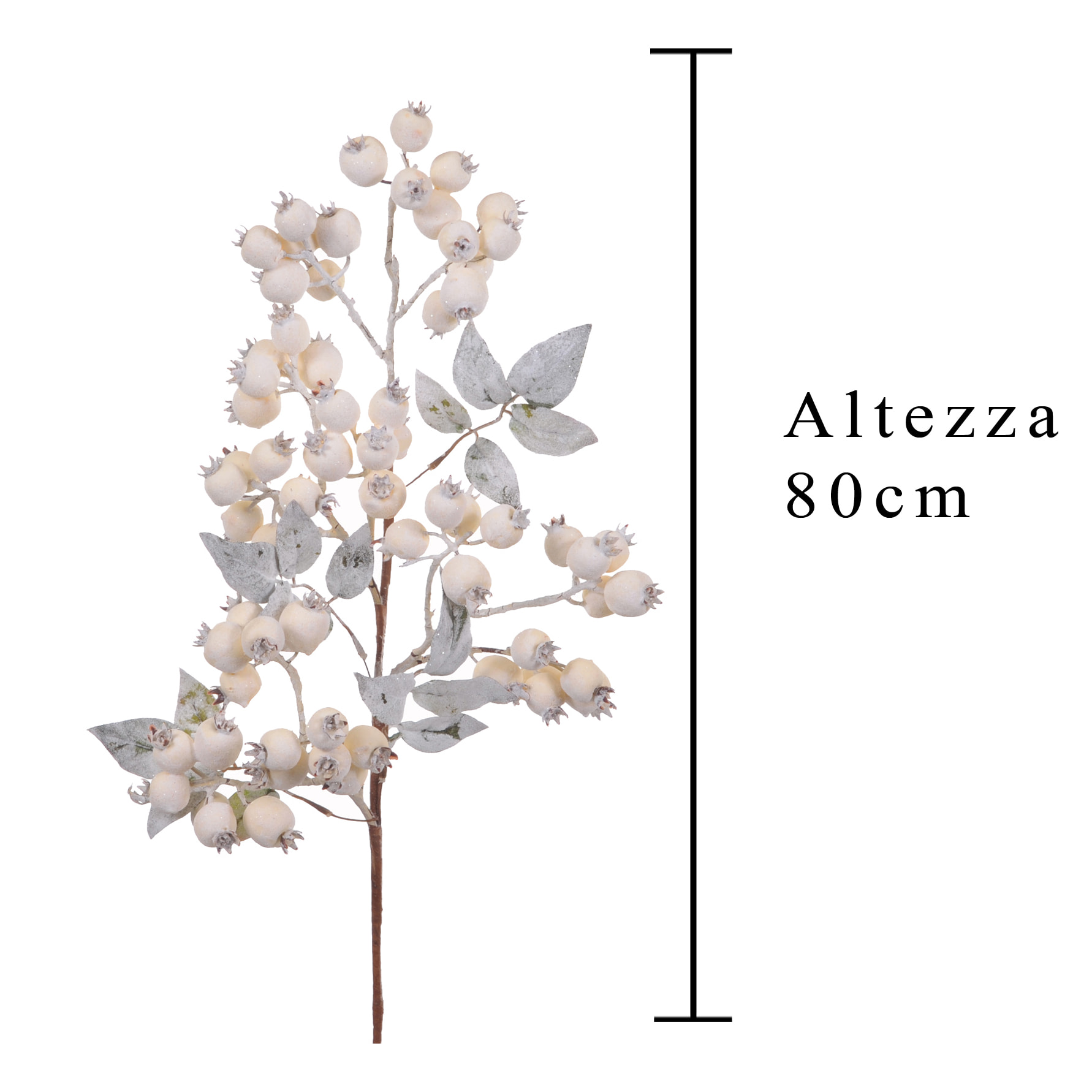 Ramo biancospino - Pezzi 6 - BIANCO - Bianchi Dino SpA
