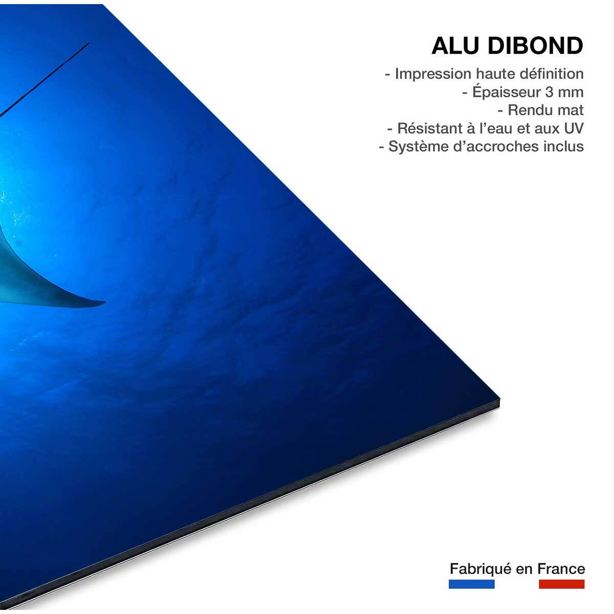 Tableau animaux marins raie manta Tableau alu Dibond