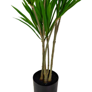 Pianta artificiale Vacchetti in plastica dracena marginata cm h130