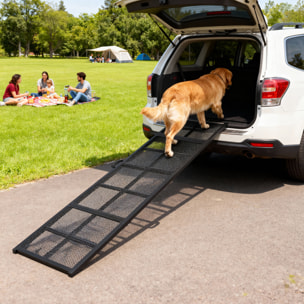 Rampe chien acier pliable portable surface antidérapante noir