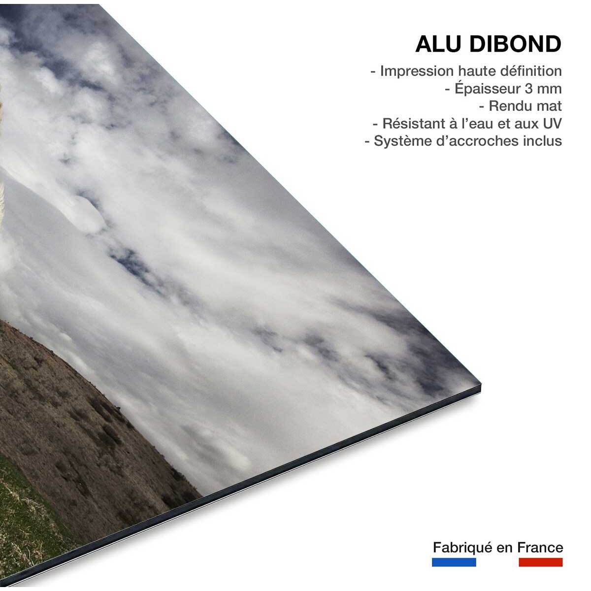 Tableau Chevaux blancs Tableau alu Dibond