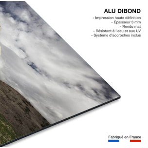 Tableau Chevaux blancs Tableau alu Dibond