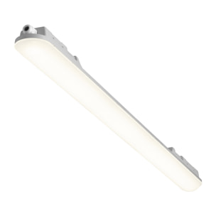 FORLIGHT Pop - Pantalla Estanca LED 41.5W de 146cm. Impermeable a Prueba de Polvo y Humedad IP65. Ideal para Garajes | Talleres