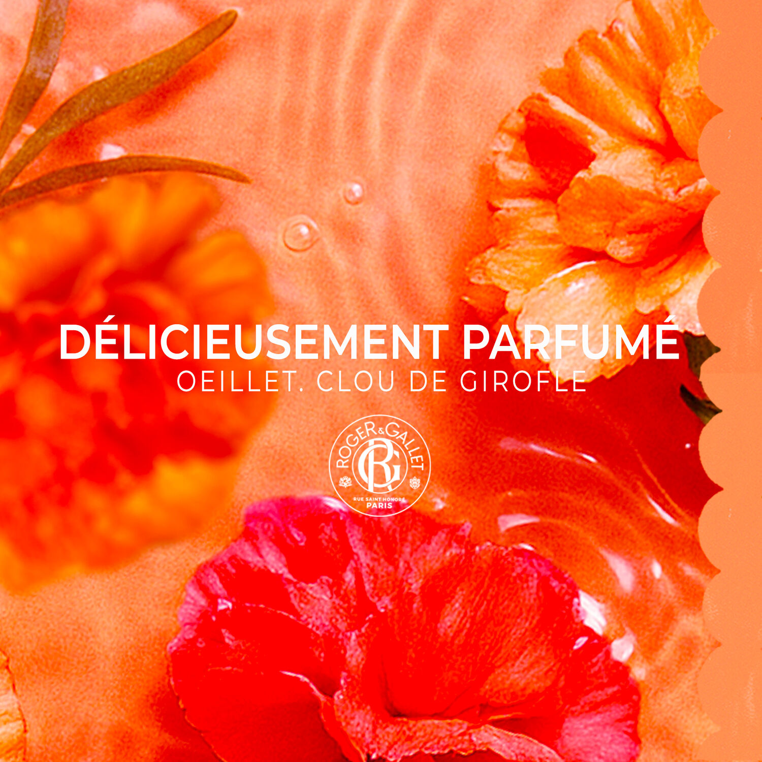 Œillet Mignardise - Savon Bienfaisant 100 g