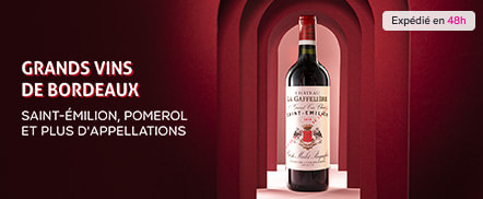 VinsdeBordeaux41