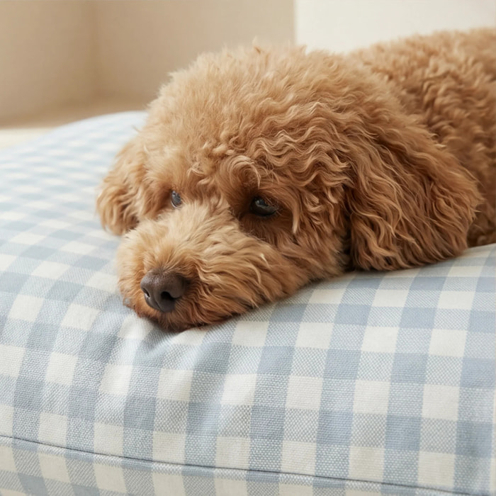 Housse antitaches pour lit pour animal Calafat Bleu Clair