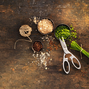 ZWILLING Ciseaux à usages multiples, 20 cm, Acier Inoxydable