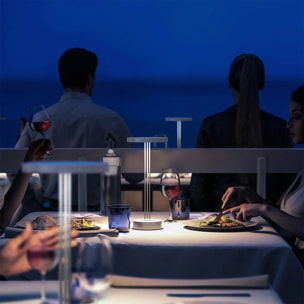 Lampe de table sans fil LED TRIZIO H33cm
