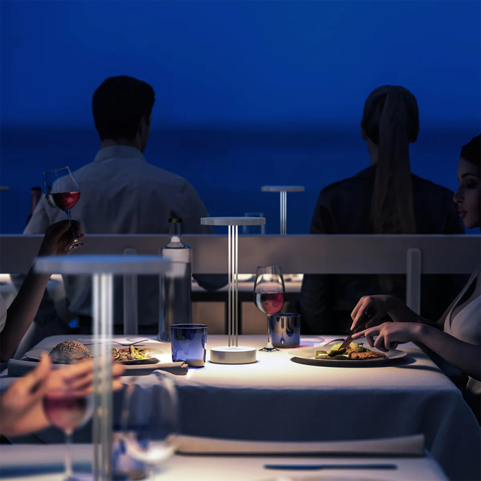 Lampe de table sans fil LED TRIZIO H33cm
