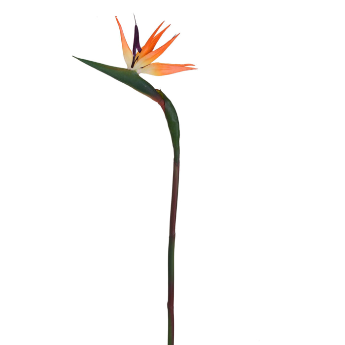 Strelitzia. Altezza 85 Cm - Pezzi 4 - 24X85X3cm - Colore: Arancio - Bianchi Dino - Fiori Artificiali