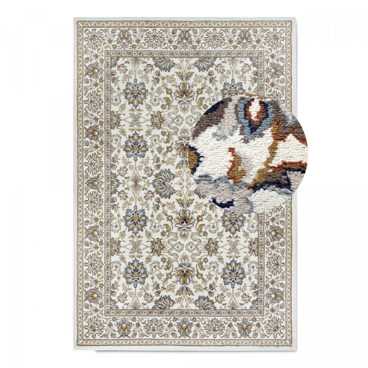 Tapis salon Rectangulaire Oriental