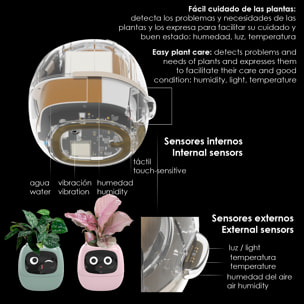 Maceta inteligente Ivy con sensores internos y externos, pantalla interactiva con expresiones faciales, batería de 2000mAh y monitoreo completo de la planta.