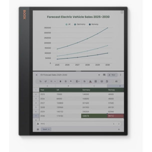 Bloc-notes numérique BOOX Tab X C 13.3''