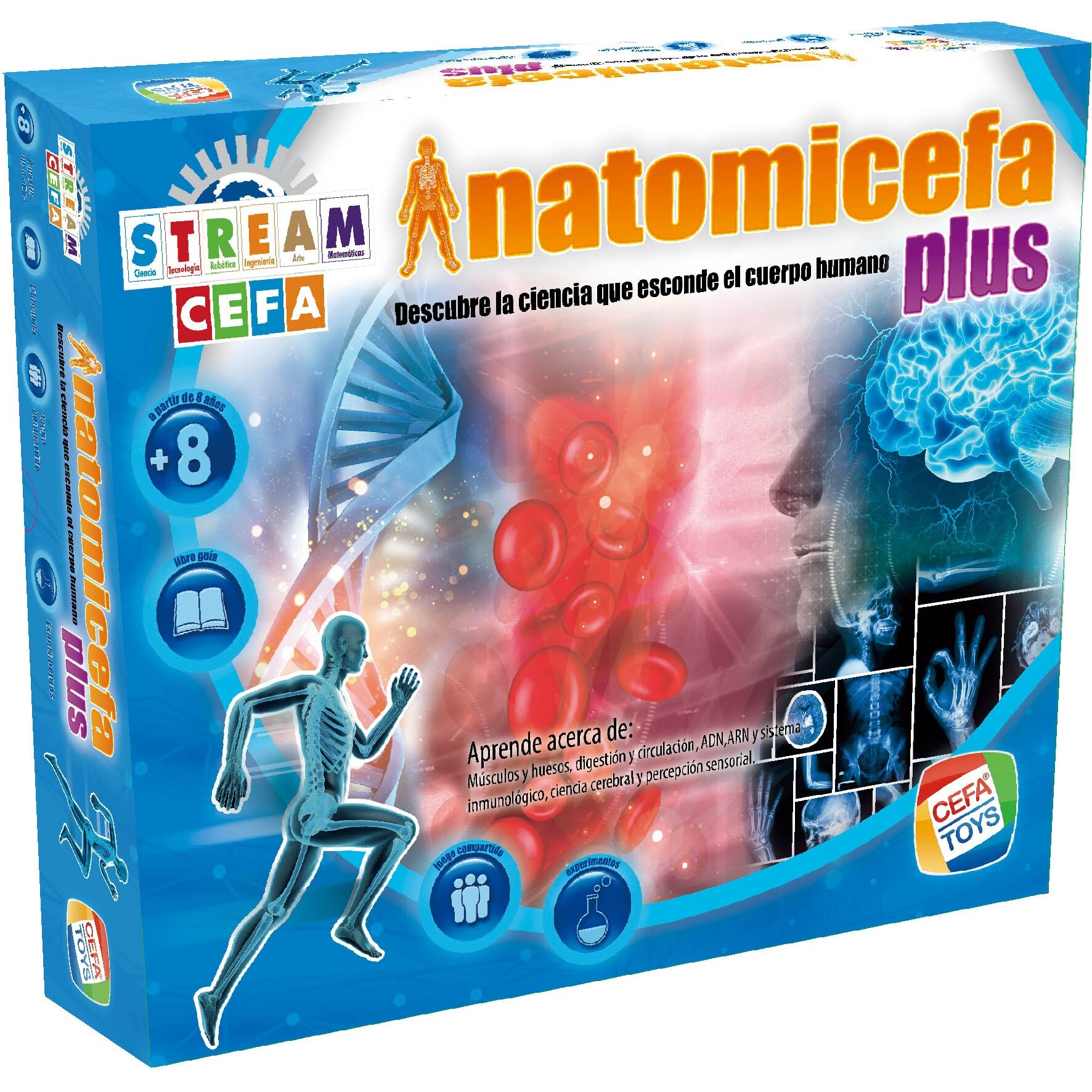 ANATOMICEFA PLUS