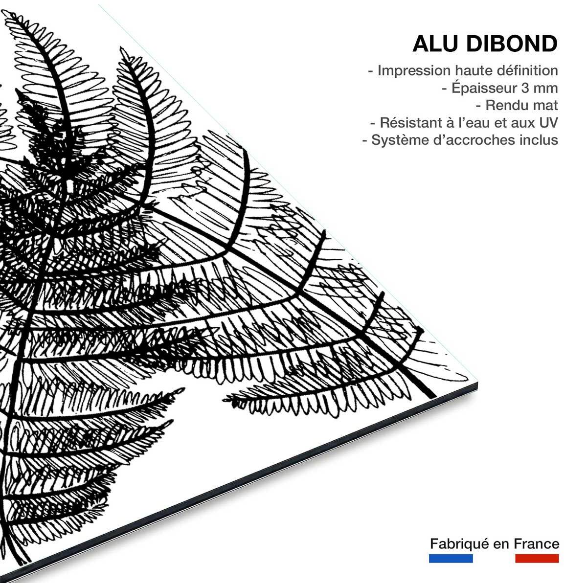 Tableau landes fougères Tableau alu Dibond