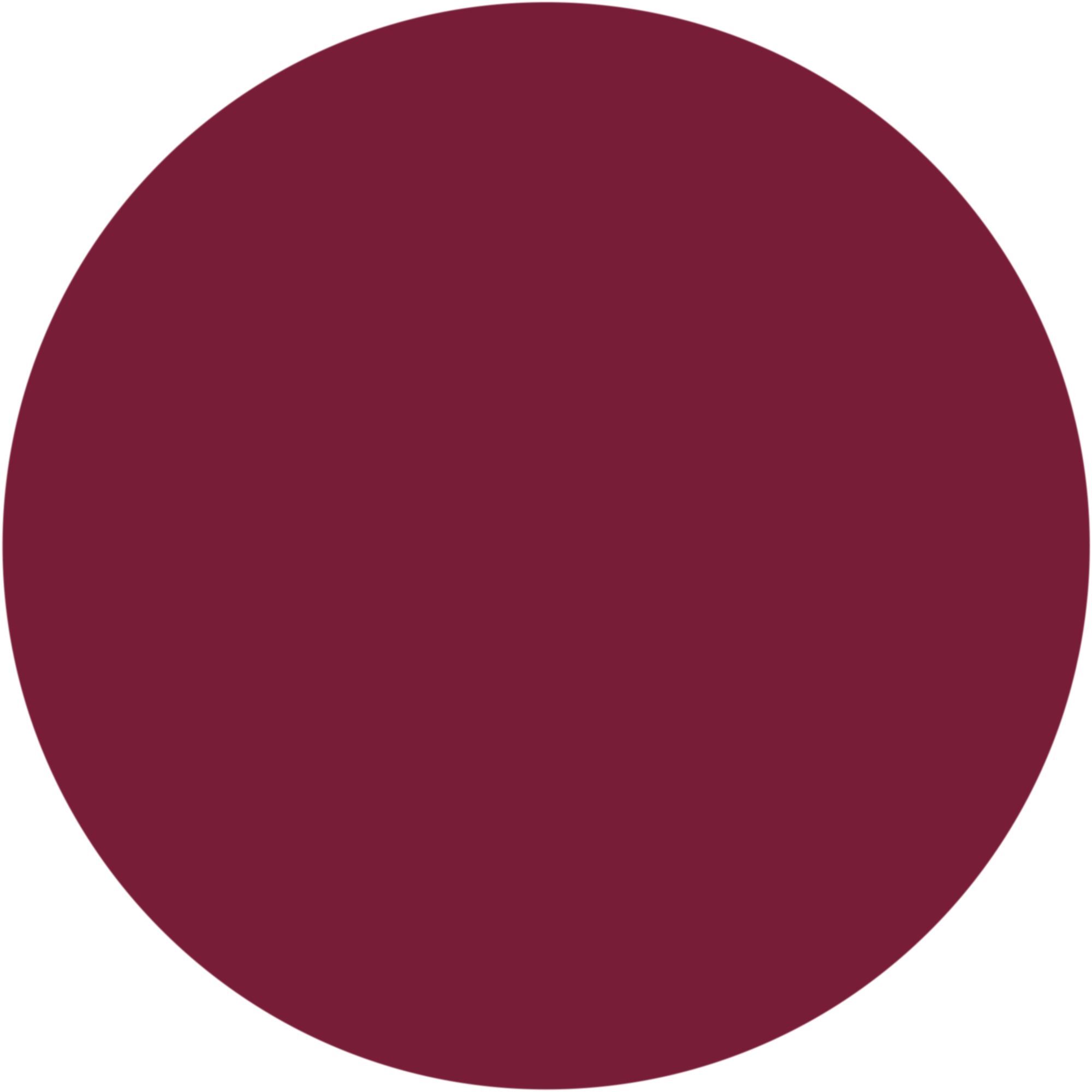 INTENSE LIP PENCIL Matita labbra dall’alta scrivenza e dal tratto preciso