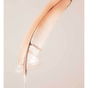 Affiche enfant plume flottante  Affiche seule