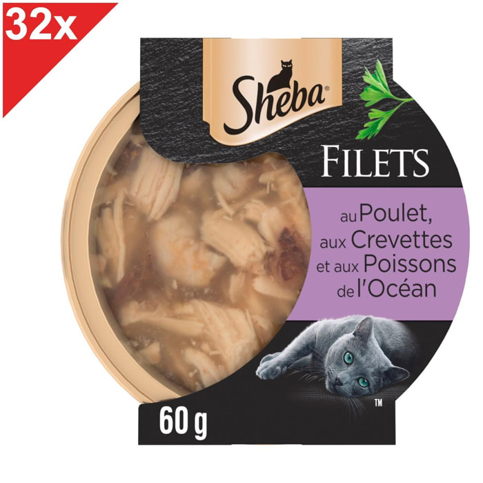SHEBA Filets au poulet, crevettes & poissons de l'océan pour chat 32 dômes 60g
