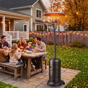 Parasol chauffant gaz portable 13kW marron foncé