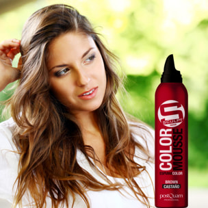 Mousse couleur châtain 300 ml.