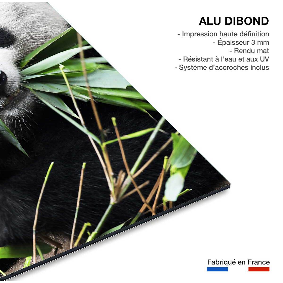 Tableau regard de panda Tableau alu Dibond
