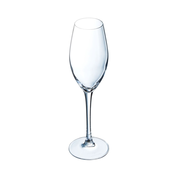 6 copas de champán 24 cl Séquence - Chef&Sommelier