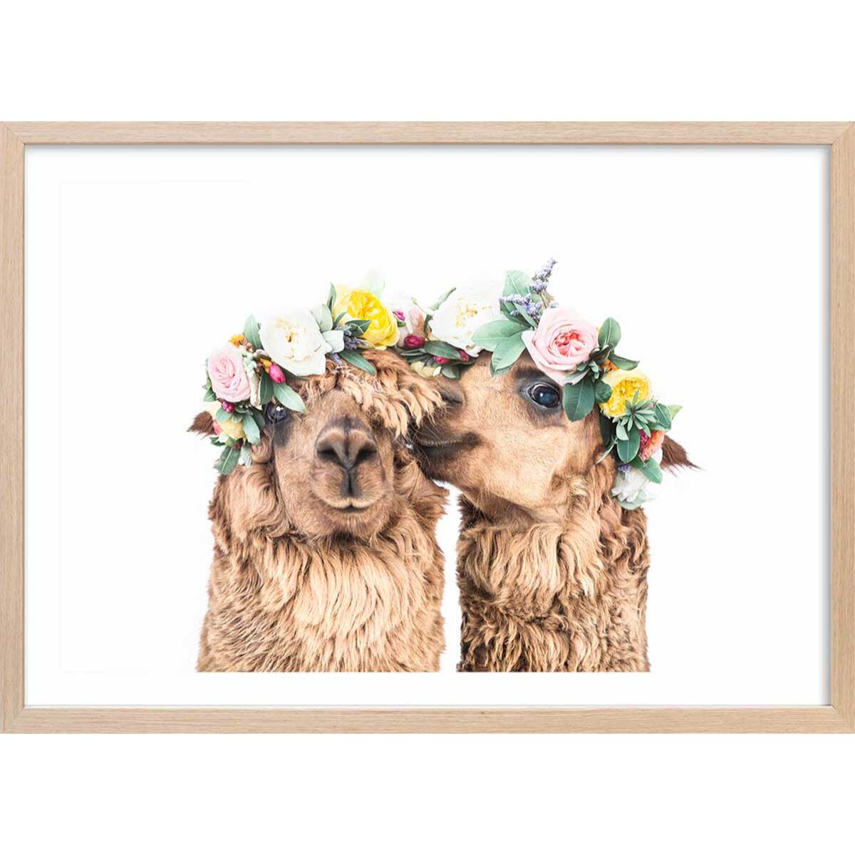 Affiche enfant alpagas bohèmes  Affiche + cadre en bois - Chêne