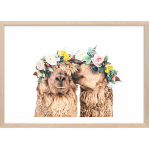 Affiche enfant alpagas bohèmes  Affiche + cadre en bois - Chêne