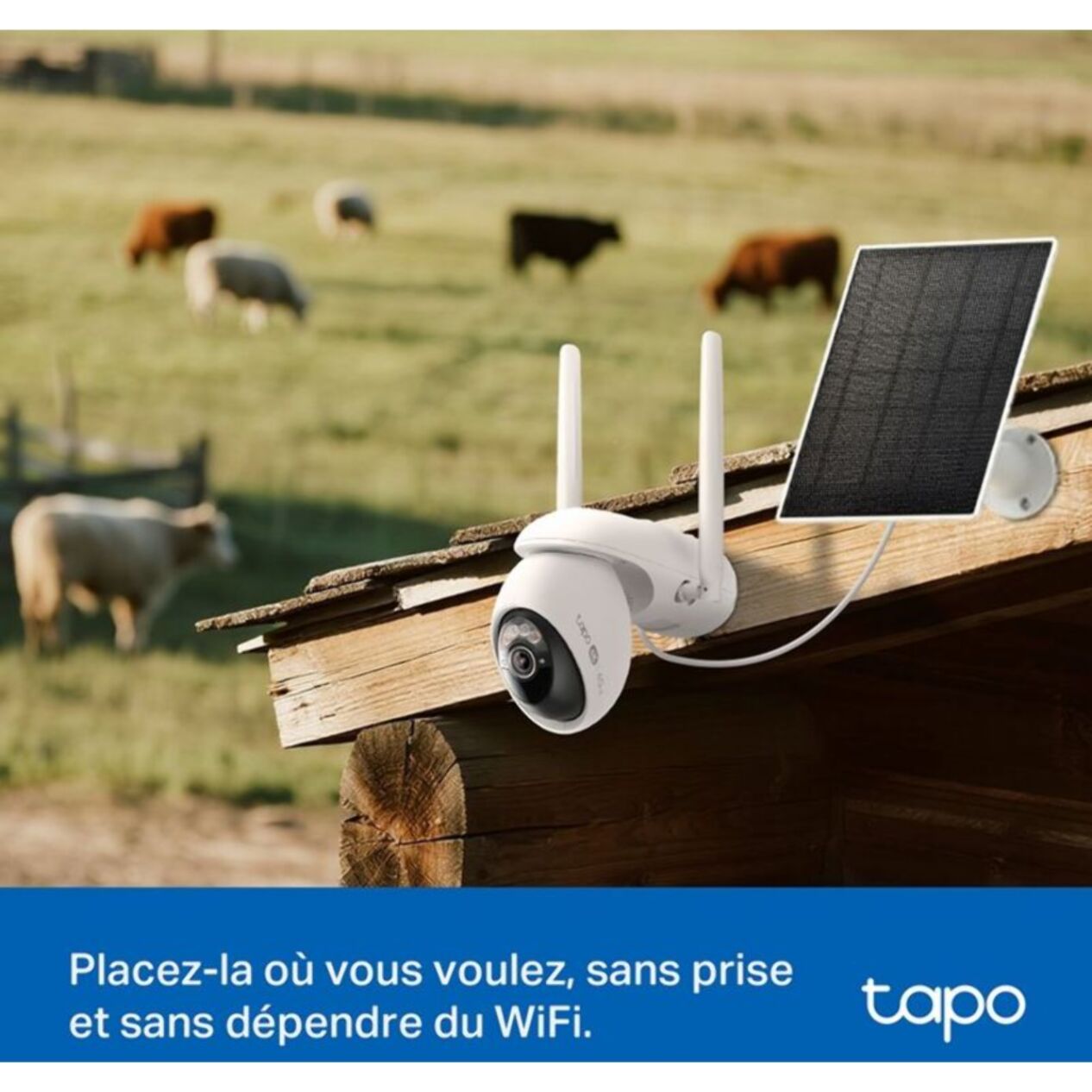 Caméra de surveillance TP-LINK Tapo C665G + panneau solaire