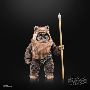 Sw Bl Roj Wicket Af Action Figura Hasbro