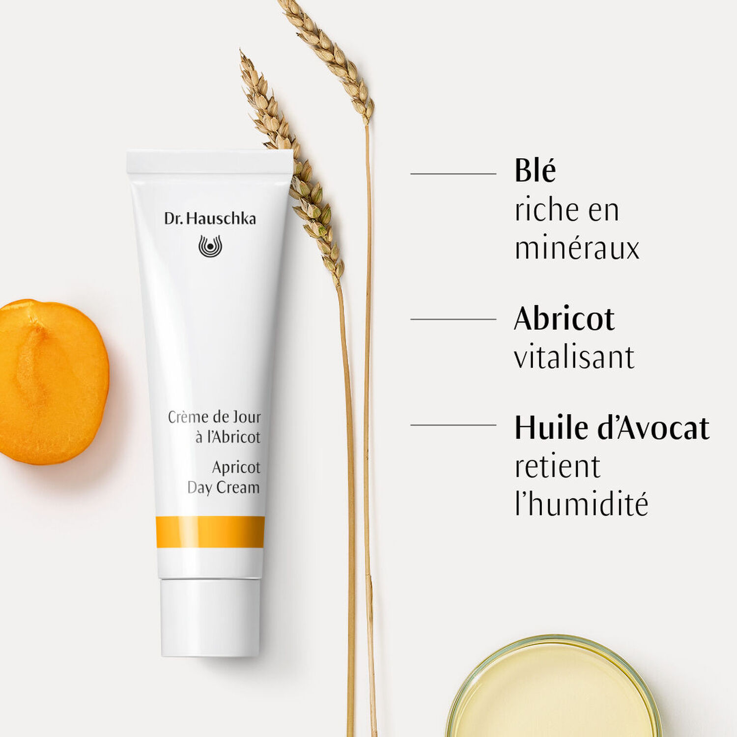 Crème de Jour à l'Abricot  - Crème de Jour 30 ml