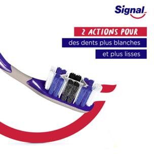 6 Brosses à Dents Signal Système Blancheur Infusé au Charbon Medium (Lot de 6 packs unitaires)