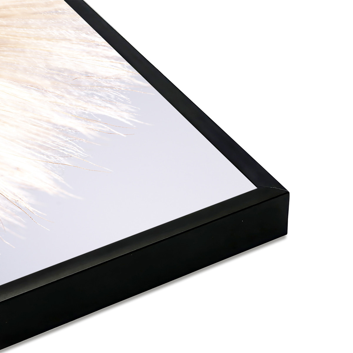 Affiche encadrée – Pissenlit en macro, douceur et légèreté Affiche + cadre en métal - Noir